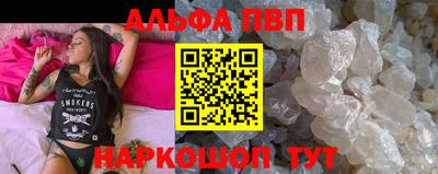 СК Гатчина