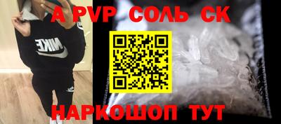 СК Гатчина