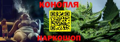 СК Гатчина