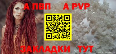 СК Гатчина