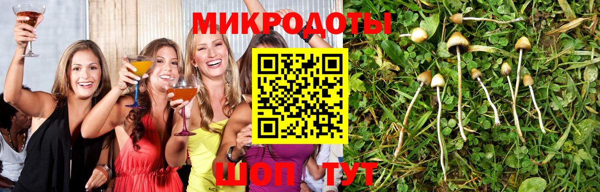 Галлюциногенные грибы Magic Shrooms  Вход с VPN  Нововоронеж  магазин продажи наркотиков  Галлюциногенные грибы GOLDEN TEACHER 